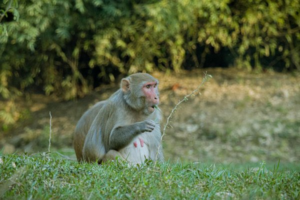 Révolution Numérique : Les Nouvelles Tendances de l'Engagement Social à l'Ère Digitale